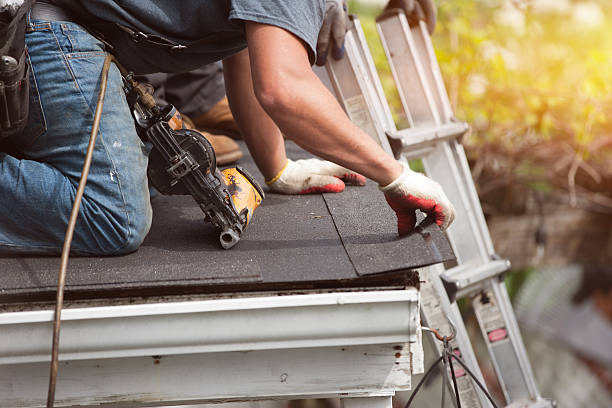 Best Storm Damage Roof Repair  in Parrish, AL