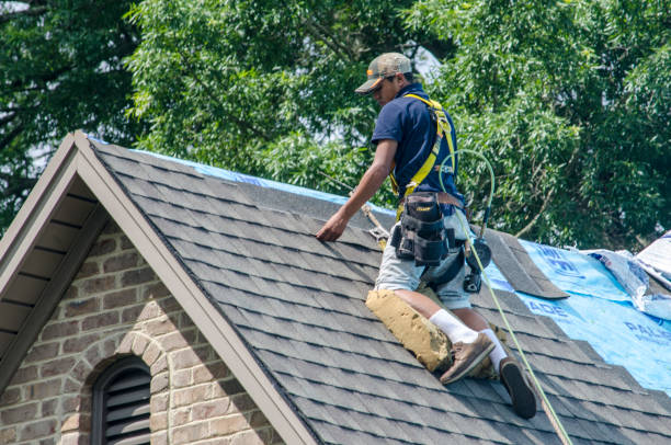 Best Roof Leak Repair  in Parrish, AL